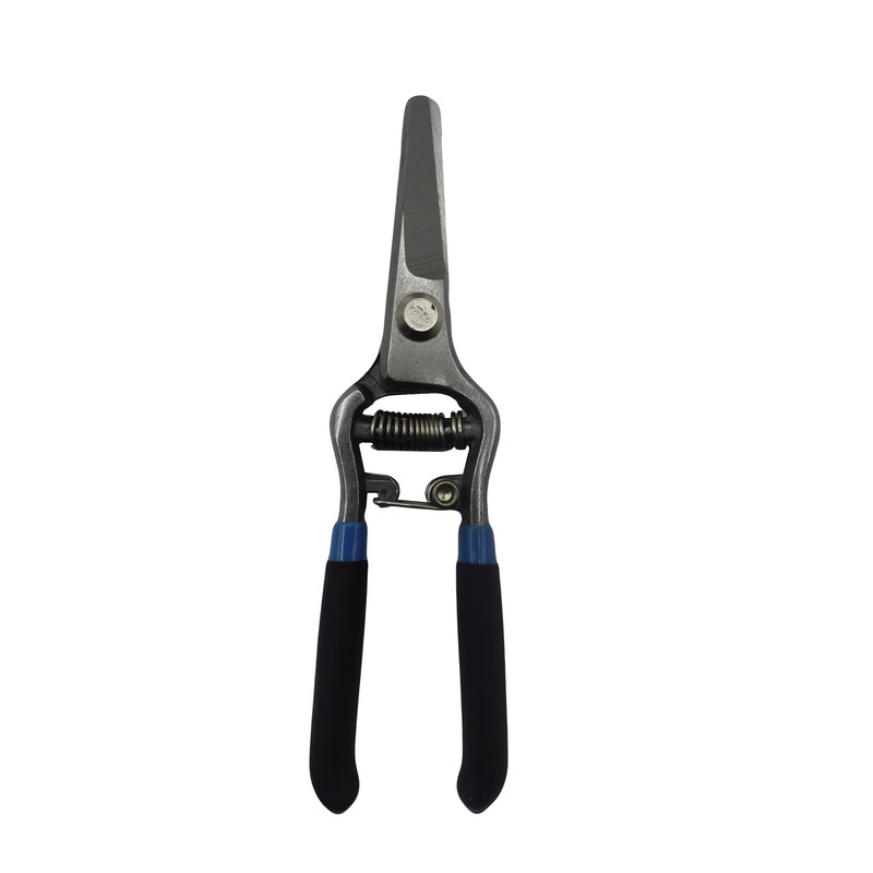 قیچی میوه چینی ای زد دی  کد YP-6inch سایز 6 اینچ