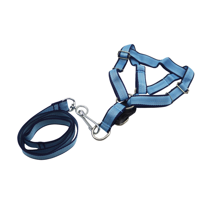 بند قلاده به همراه قلاده کتفی سگ کد YP-AB-2.5CM
