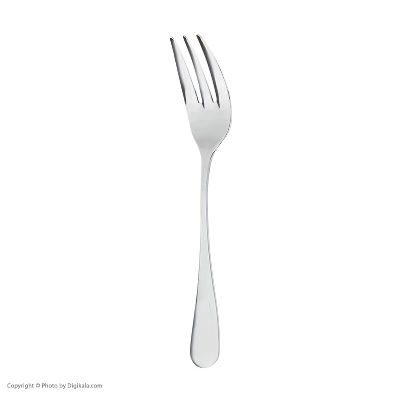 سرویس قاشق و چنگال 57 پارچه صنایع استیل ایران سری پارما کد 888