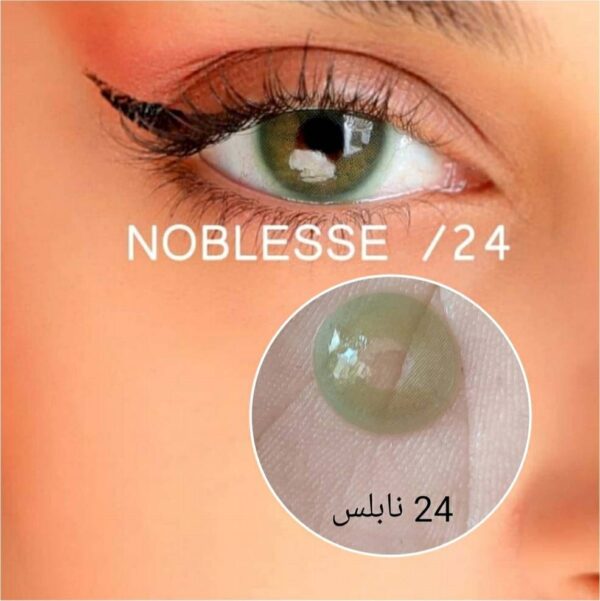 لنز رنگی نابلس شماره 24