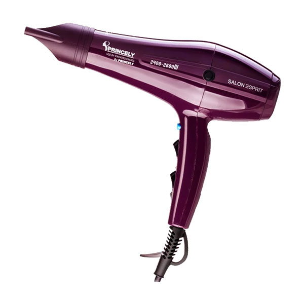 سشوار پرنسلی مدل PR250