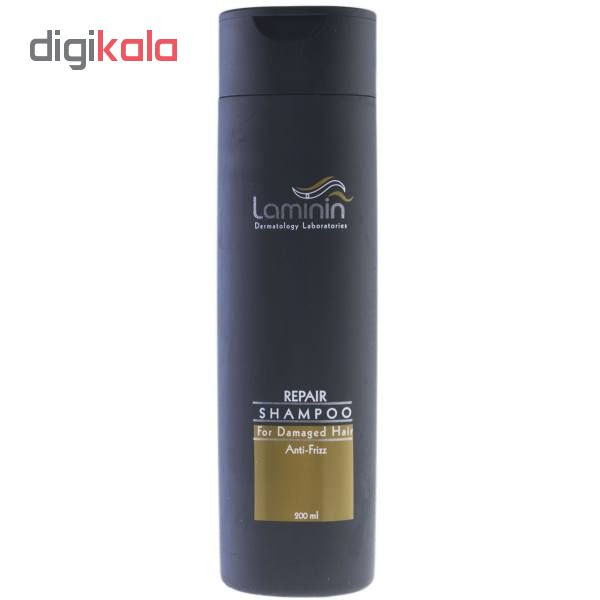 شامپو ترمیم کننده لامینین مدل Anti Frizz حجم 200 میلی لیتر