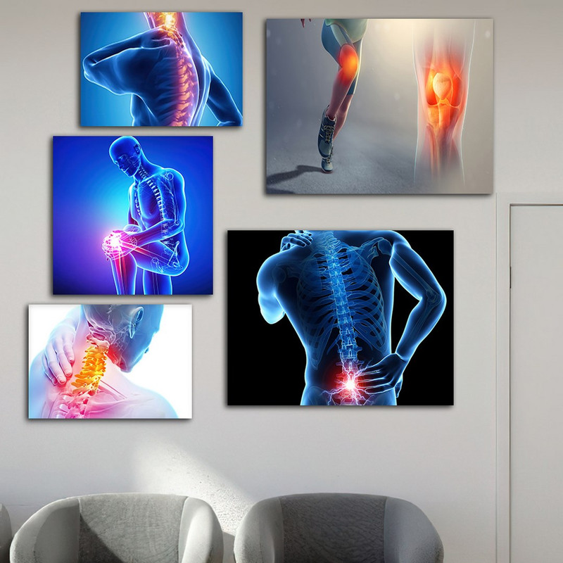 تابلو شاسی بکلیت طرح پزشکی آناتومی بدن مدل SH-917 مجموعه 5 عددی