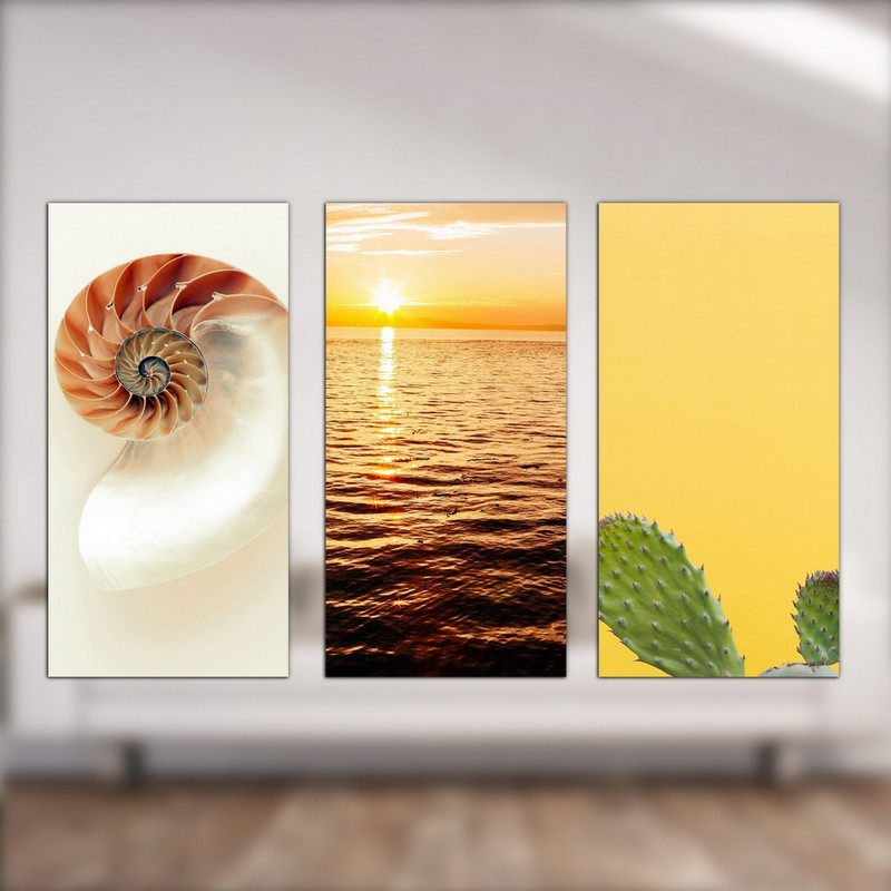 تابلو شاسی بکلیت طرح حلزون و کاکتوس و دریا مدل SH-541 مجموعه 3 عددی