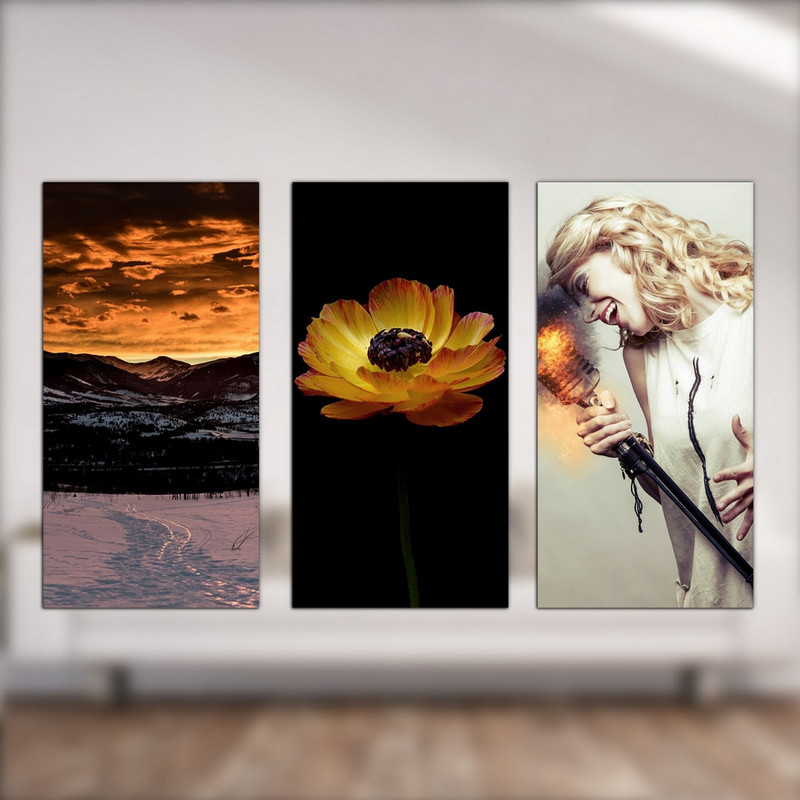 تابلو شاسی بکلیت طرح خواننده و غروب و گل مدل SH-537 مجموعه 3 عددی