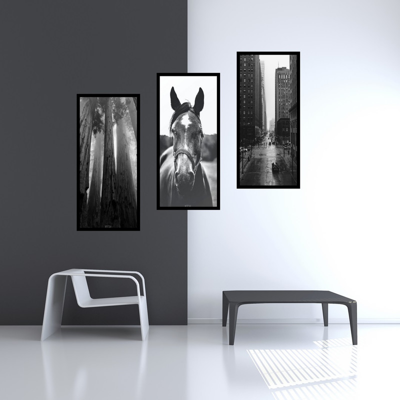 تابلو بکلیت طرح سیاه و سفید اسب و درخت مدل B-516 مجموعه 3 عددی
