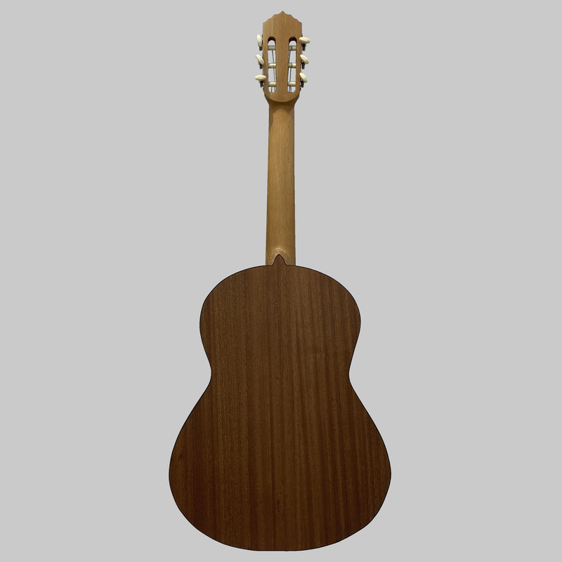 گیتار مدل C70