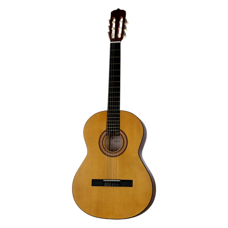 گیتار مدل دیاپوند کد rre3