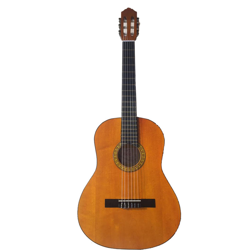 گیتار مدل گولد کد G co2