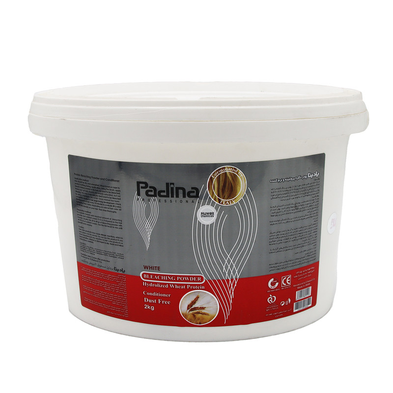 پودر دکلره پادینا مدل WH وزن 2000 گرم