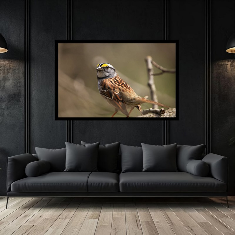 تابلو بکلیت طرح طبیعت  گنجشک پرنده و پرندگان مدل B-bu5194