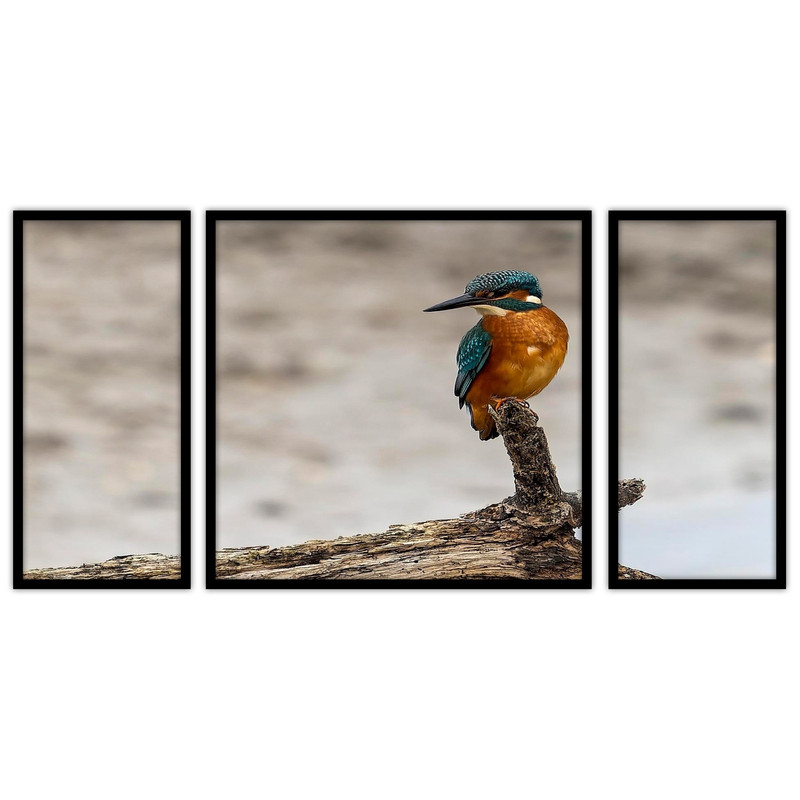 تابلو بکلیت طرح طبیعت و پرنده  مدل B-bu3638 مجموعه 3 عددی