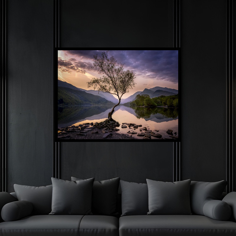 تابلو بکلیت طرح منظره طبیعت تک درخت  مدل B-bu6603 فریم مشکی