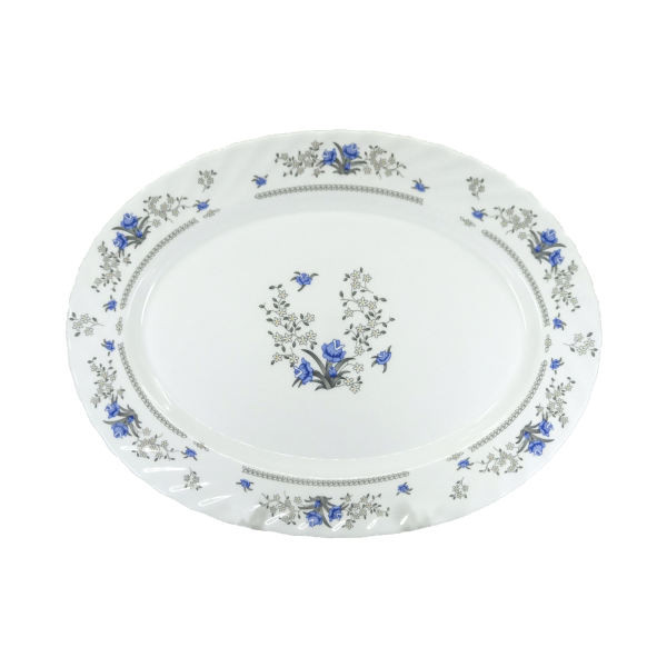 دیس پارس اپال مدل 120 درجه یک