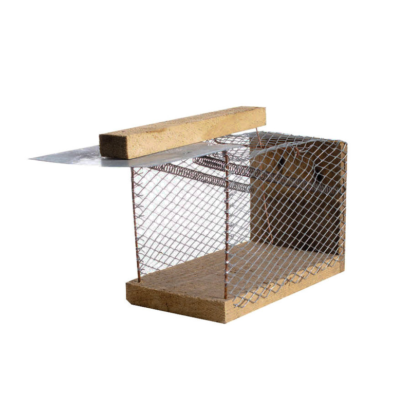 تله موش مدل F80