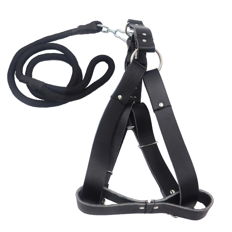 قلاده کمری به همراه لید سامکو مدل YP3-LIDDAR135CM