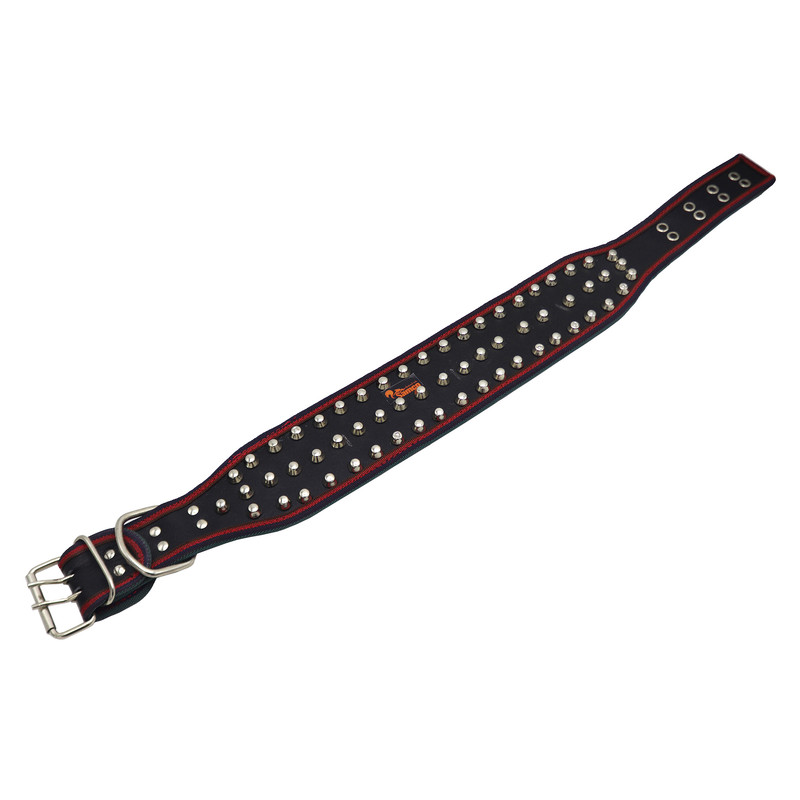 قلاده سگ سامکو مدل نگین دار کد YP-NEGINDAR-70CM