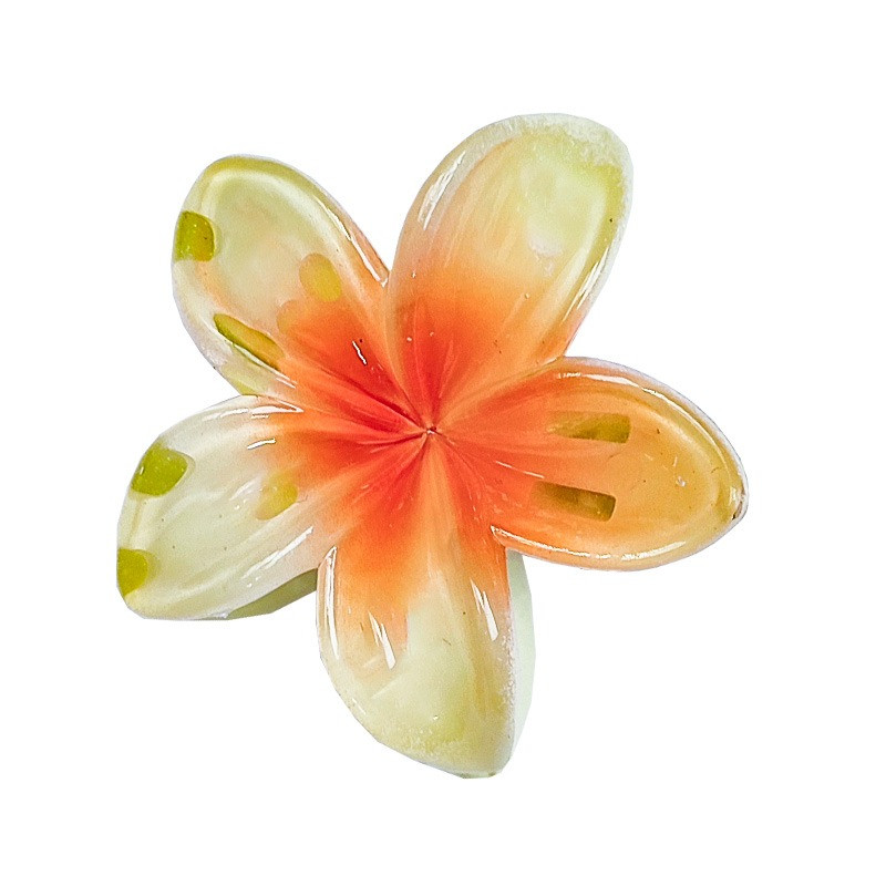 کلیپس مو زنانه مدل  پلومریا کد 40906ak