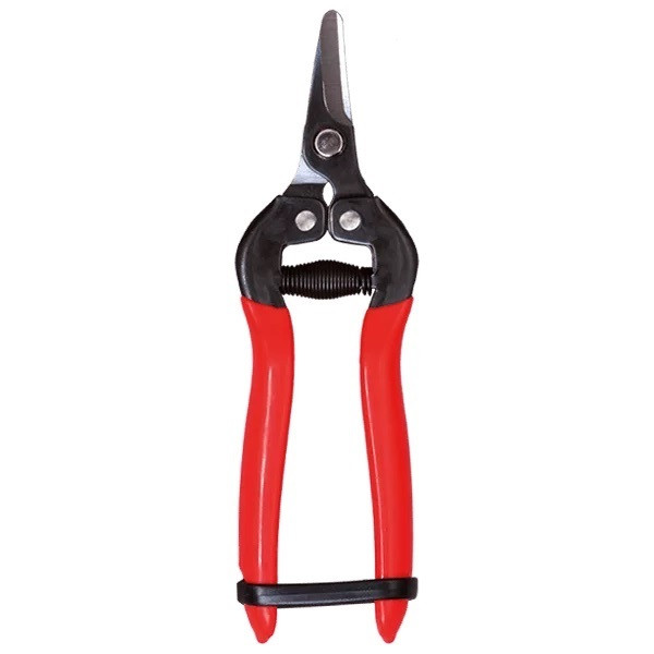 قیچی میوه چینی مدل sumio-3164c