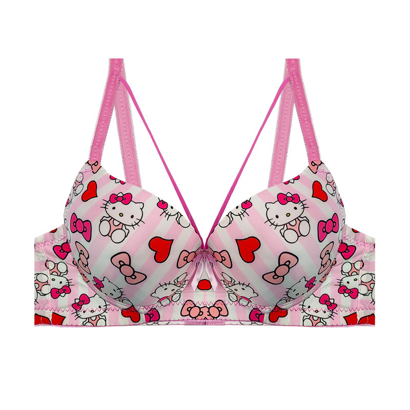 سوتین اسفنجی زنانه آنی لوکس مدل هارنس دار طرح کیتی کد 22222s