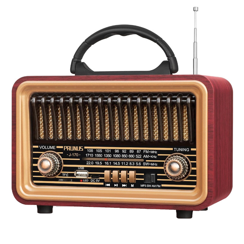 رادیو اسپیکر FM، AM، SW پرونوس مدل J-170 دارای پورت USB