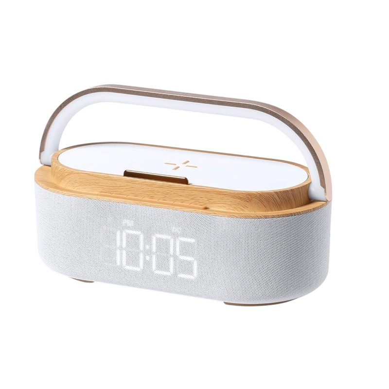 رادیو اسپیکر FM مدل WS-w29 دارای Bluetooth