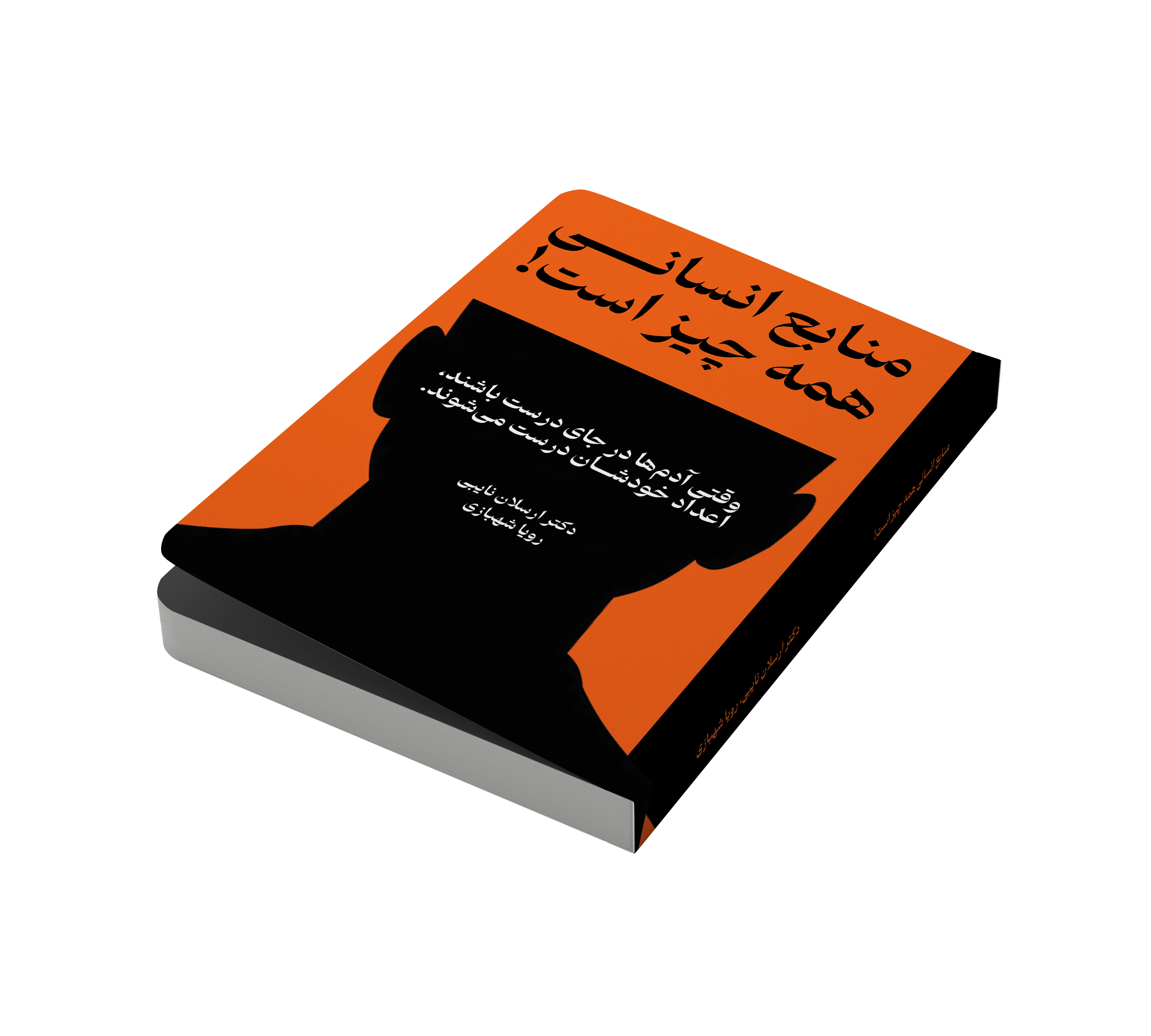 کتاب منابع انسانی همه‌چیز است نویسندگان دکتر ارسلان نایبی و رویا شهبازی